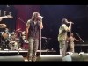 The Wailers Concert Photo