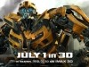 Bumblebee Poster