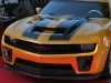 Mustang Photo
