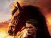 War Horse Poster