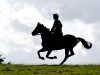 Jeremy Irvine War Horse Photo