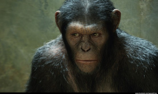 Caesar in Rise of the Planet of the Apes
