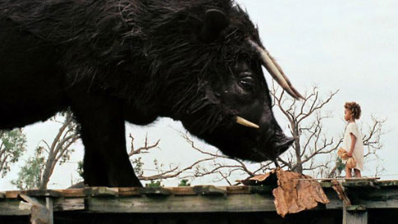 Wilderness Beast