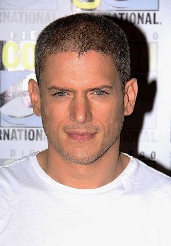 Prison Break Star Wentworth Miller