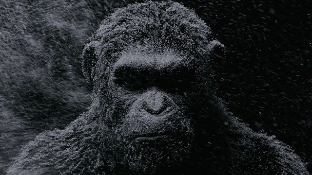 War of the Planet of the Apes