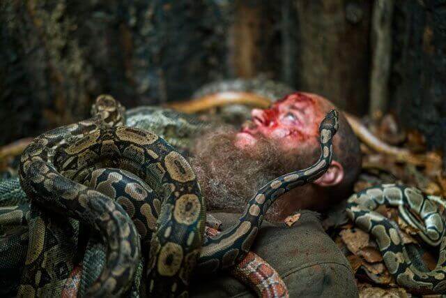 Viking season 4 episode 15 Travis Fimmel and Snakes