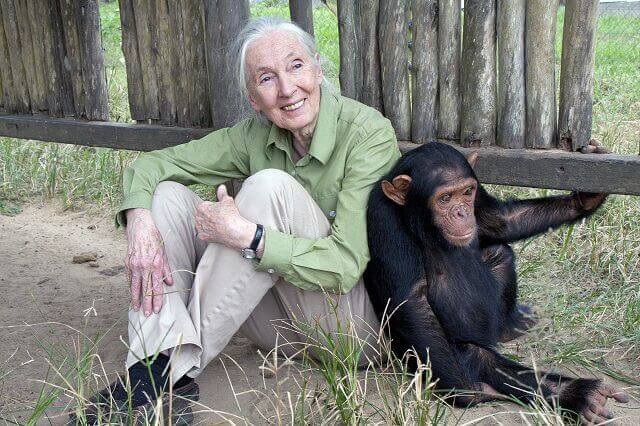 War for the Planet of the Apes teams up with Jane Goodall