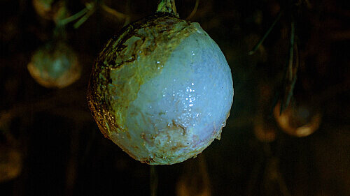 Zoo Season 3 Episode 10