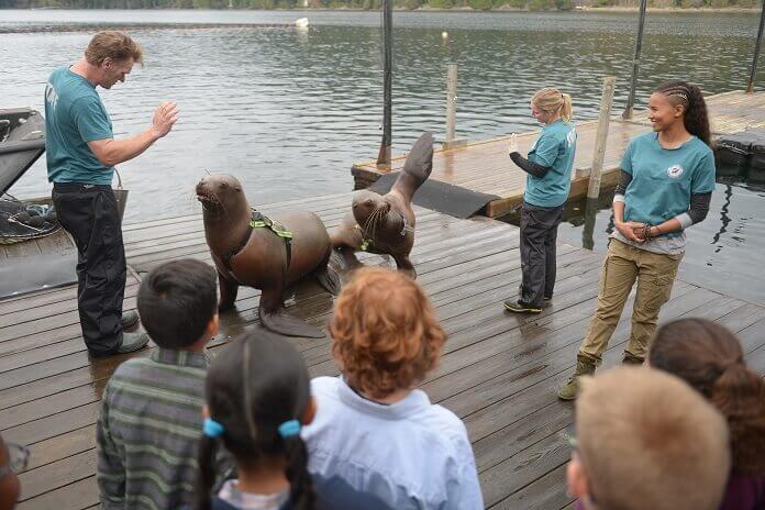 Siren TV Series Preview