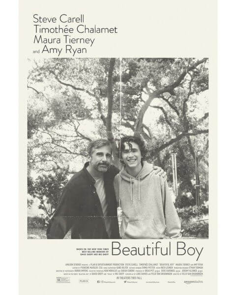 Beautiful Boy Poster