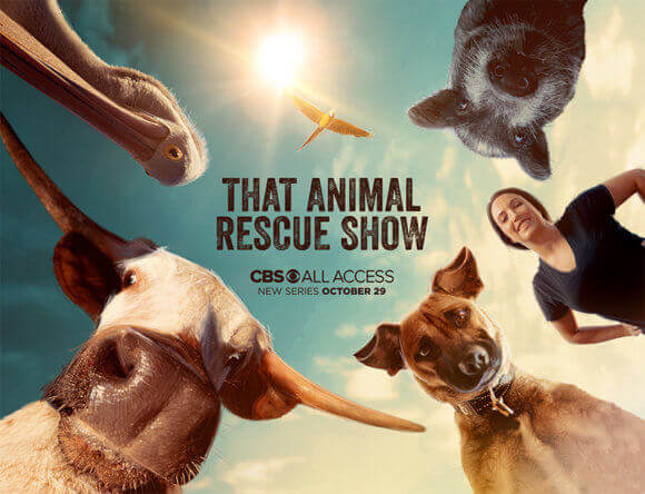 That Animal Rescue Show