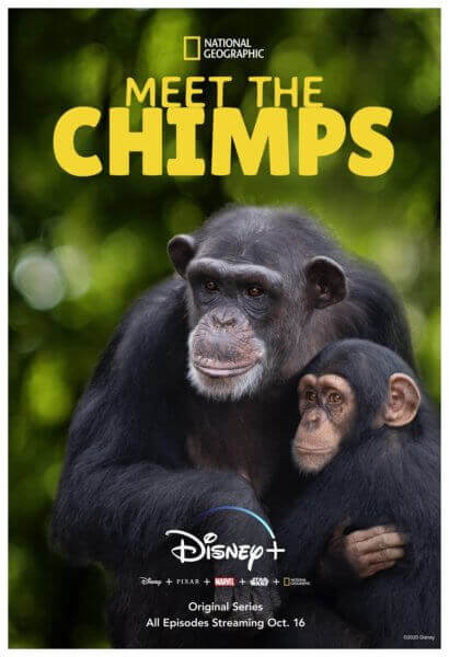 Meet the Chimps Poster