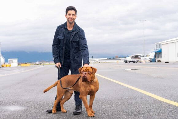 Turner & Hooch Josh Peck