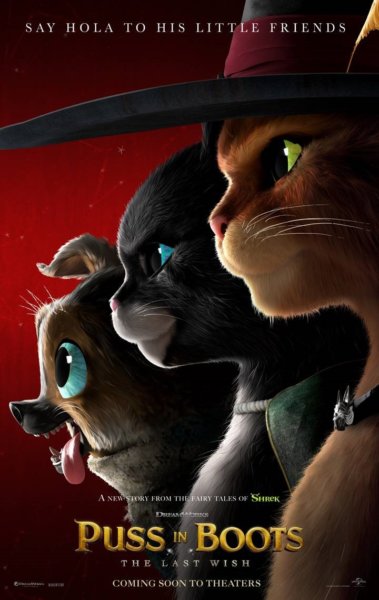 Puss in Boots The Last Wish Poster