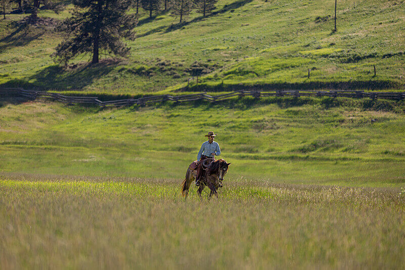 Yellowstone Season 5 Episode 3 Recap "Tall Drink of Water"