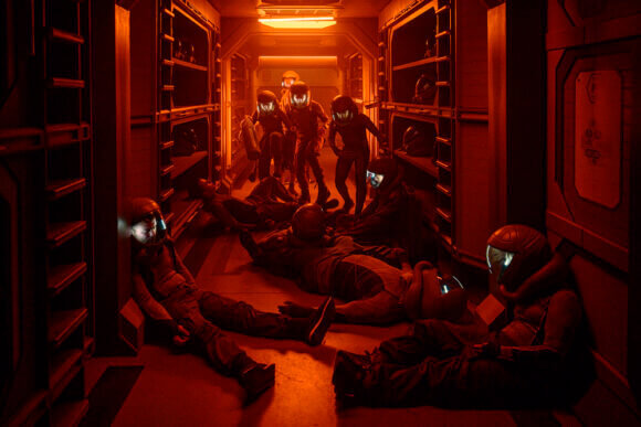 The Ark