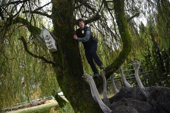 Animal Control Episode 1