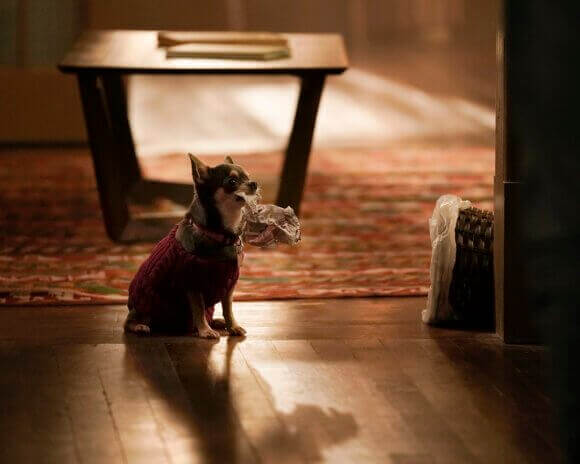 Will Trent Episode 7