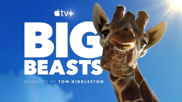Big Beasts Poster