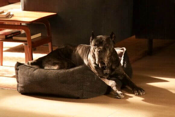 A Million Little Things Season 5 Episode 6