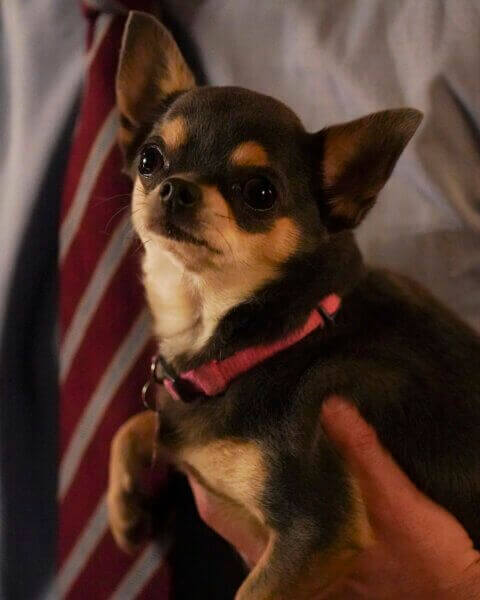 Betty in Will Trent Episode 12