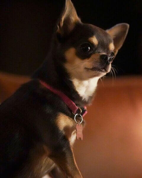 Betty in Will Trent Episode 12