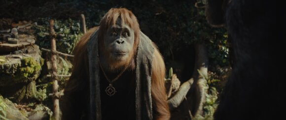 Kingdom of the Planet of the Apes Raka