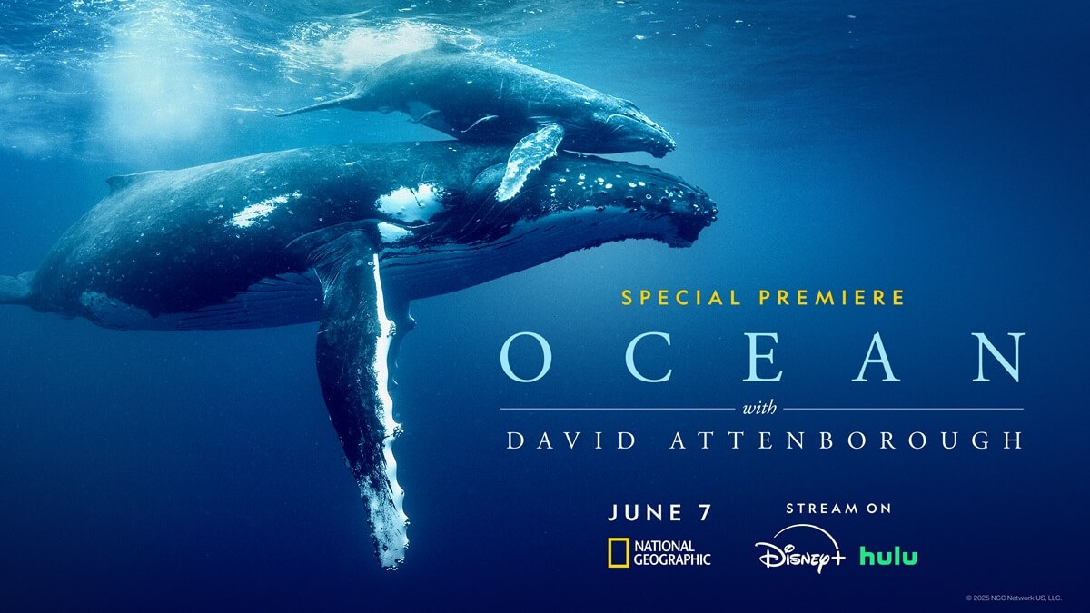 Ocean With David Attenborough Documentary Trailer Ocean With David Attenborough Documentary Trailer