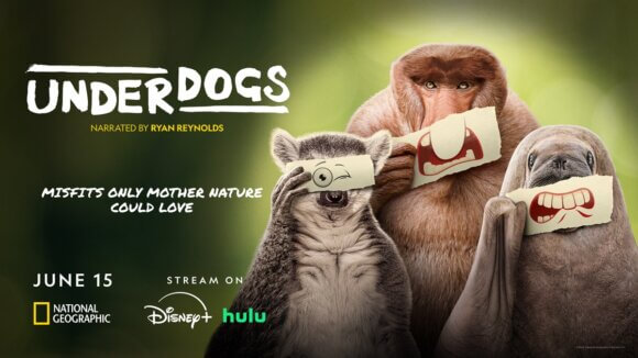 Underdogs Poster