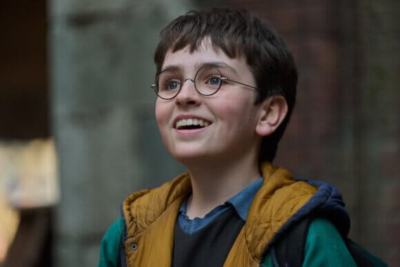 Dominic McLaughlin as Harry