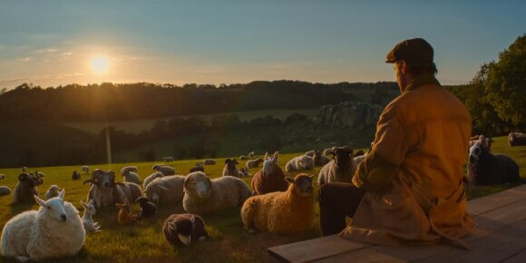 The Sheep Detectives Hugh Jackman Review