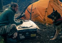 Heart of the Beast Review: Brad Pitt and His Canine Co-Star Deliver a Gripping Survival Drama Brad Pitt and Uber as Odin