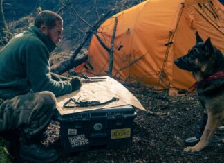 Heart of the Beast Review: Brad Pitt and His Canine Co-Star Deliver a Gripping Survival Drama Brad Pitt and Uber as Odin