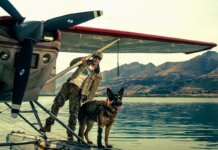 Brad Pitt’s Heart of the Beast: First Photos Released Ahead of Trailer Heart of the Beast Brad Pitt and Uber