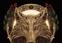 Starz Adapts Lauren Palphreyman’s The Wolf King Series With Tanya Saracho The Wolf King Book Cover