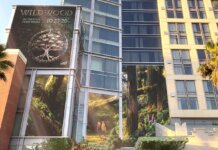 LAIKA Unveils Immersive Wildwood Experience at San Diego Comic-Con Wildwood Immersive Experience at SDCC