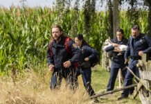 Fire Country Season 5 Episode 4 Preview: Station 42 Faces Scrutiny Fire Country Season 5 Episode 4